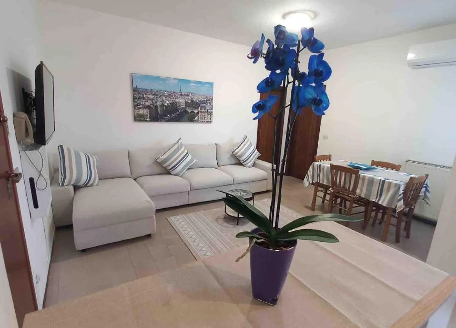 Appartement Appartamento Fronte Mare Camaiore